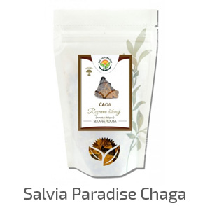 Salvia_Paradise_Chaga